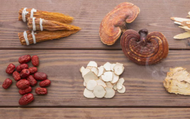 傳承藥食同源，衍生健康入選鐵皮石斛、西洋參、靈芝藥食同源首批試點(diǎn)